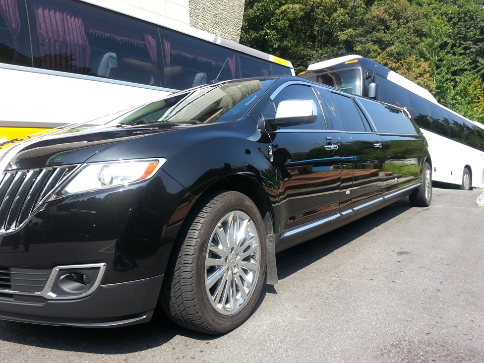 20150817_101430.jpg